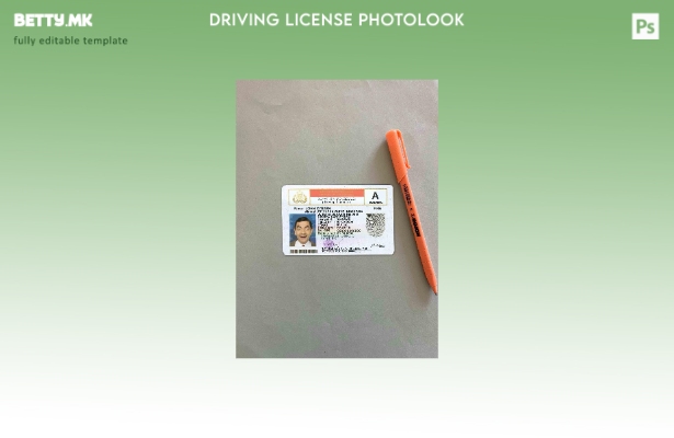 Модерен стил Индонезија DL photolook FRONT шаблон